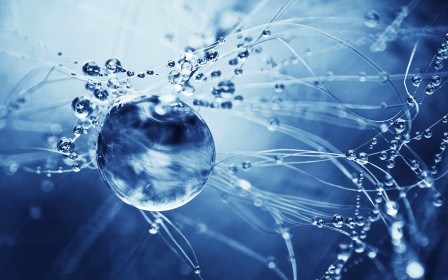 water-network