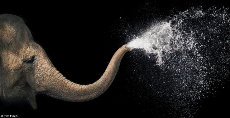 "La vera accezione di Takemusu, uno sgorgare continuo, poieutico, direttamente dall'inconscio.."