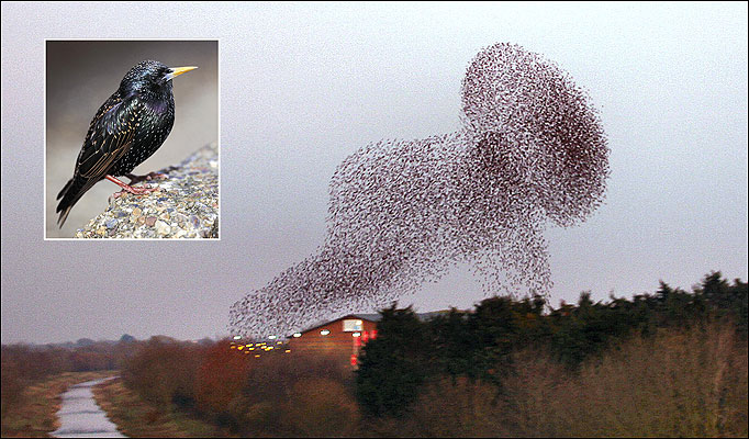 Tutti per uno, uno per tutti