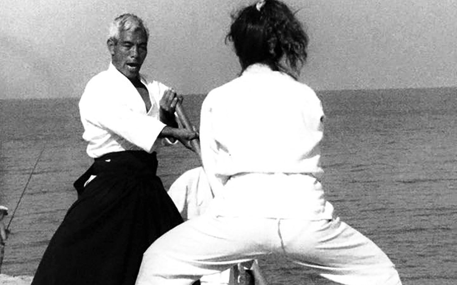 Tergu - 1990